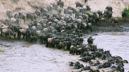 Azarbaijan Tour Packages | Pooho Travel Management